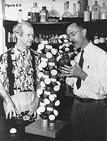 Linus Pauling y Richard B. Corey