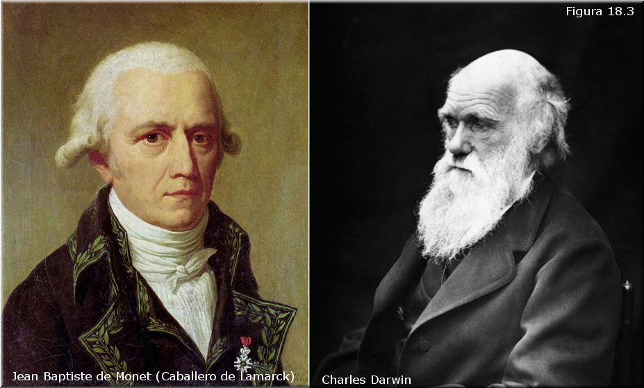 Lamarck y Darwin