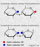 Tipos de enlace glicosídico