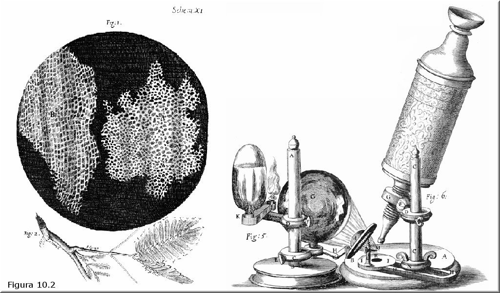 El microscopio de Robert Hooke