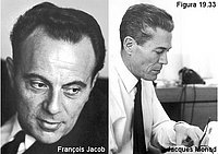 François Jacob y Jacques Monod